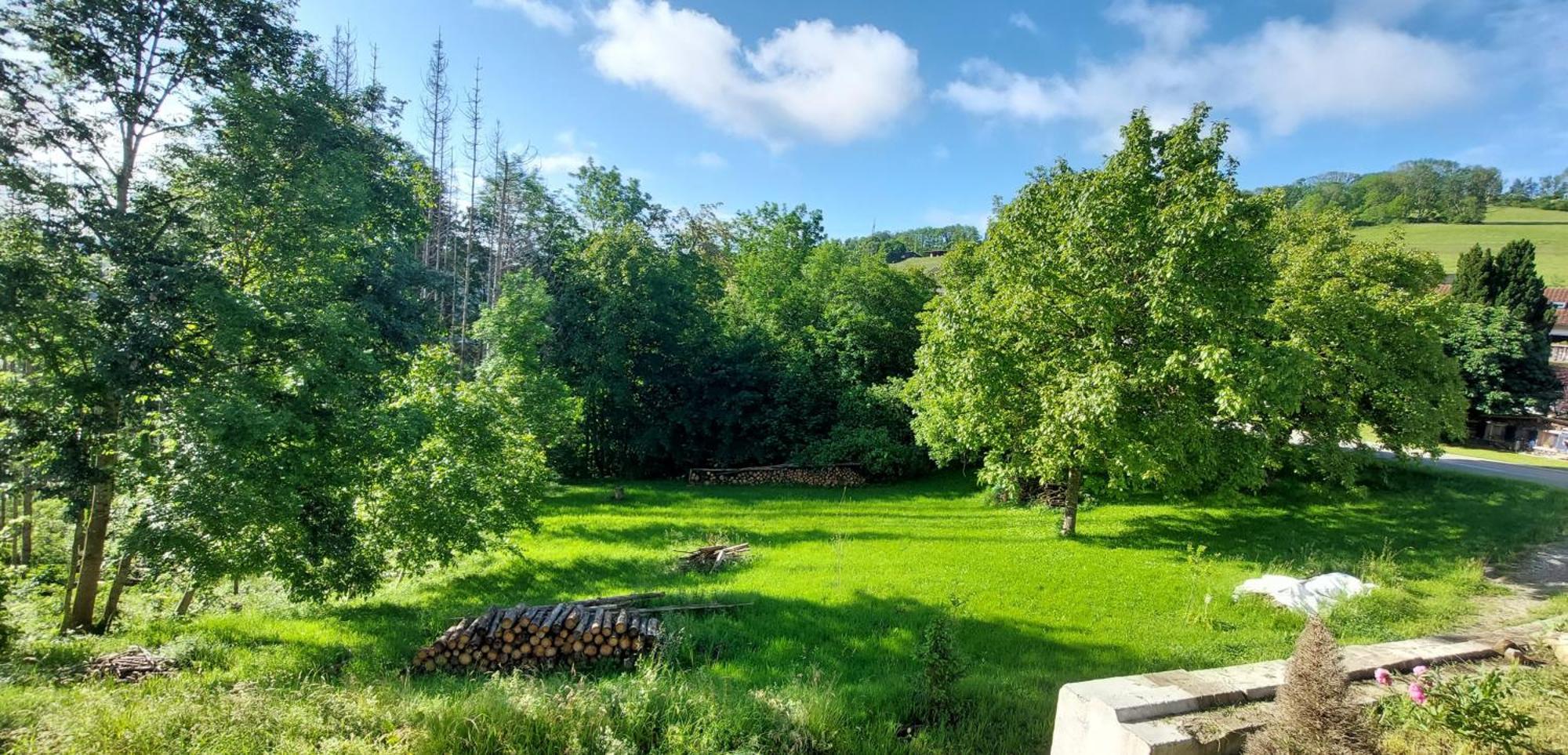 Bukowina Ferienhaus *